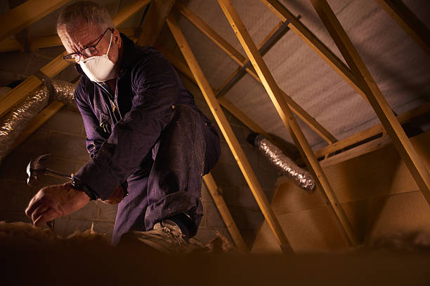 Best Geographic-Specific Insulation Services in Centerville, TN